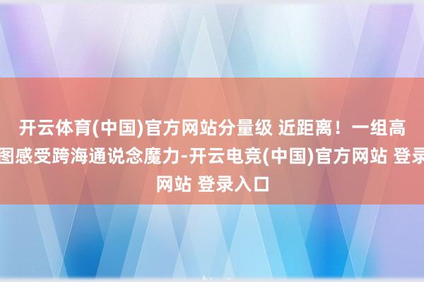 开云体育(中国)官方网站分量级 近距离！一组高清长图感受跨海通说念魔力-开云电竞(中国)官方网站 登录入口