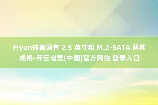 开yun体育网有 2.5 英寸和 M.2-SATA 两种规格-开云电竞(中国)官方网站 登录入口