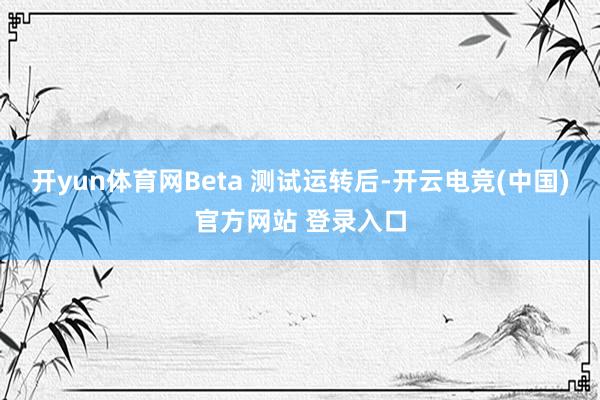 开yun体育网Beta 测试运转后-开云电竞(中国)官方网站 登录入口