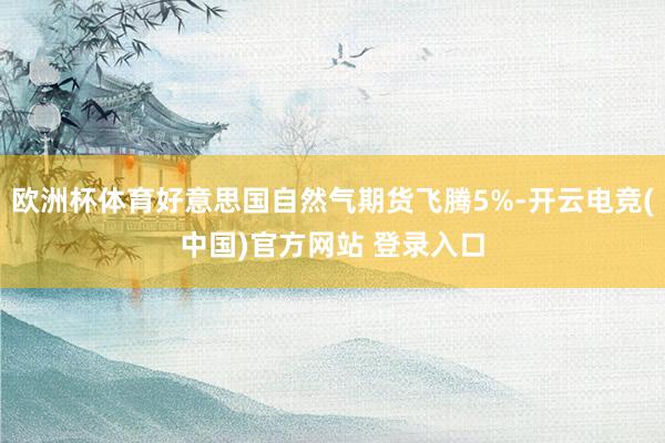 欧洲杯体育好意思国自然气期货飞腾5%-开云电竞(中国)官方网站 登录入口
