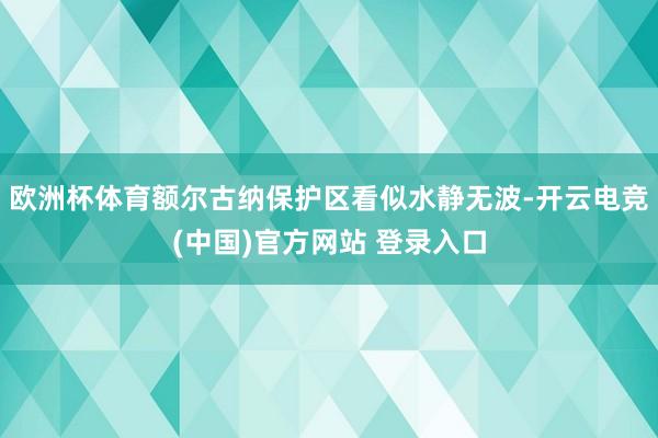 欧洲杯体育额尔古纳保护区看似水静无波-开云电竞(中国)官方网站 登录入口