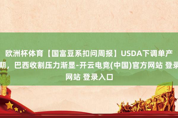 欧洲杯体育【国富豆系扣问周报】USDA下调单产超预期,巴西收割压力渐显-开云电竞(中国)官方网站 登录入口