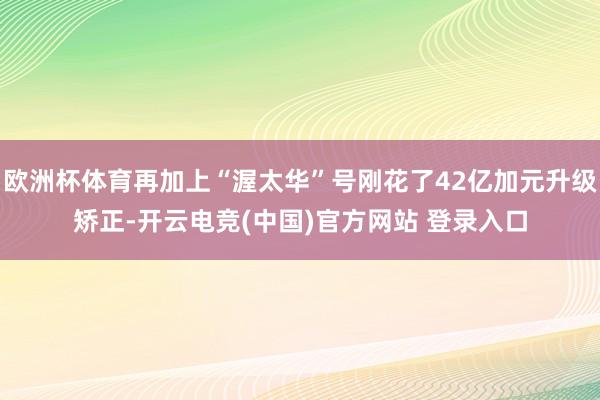 欧洲杯体育再加上“渥太华”号刚花了42亿加元升级矫正-开云电竞(中国)官方网站 登录入口