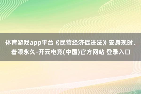 体育游戏app平台《民营经济促进法》安身现时、着眼永久-开云电竞(中国)官方网站 登录入口