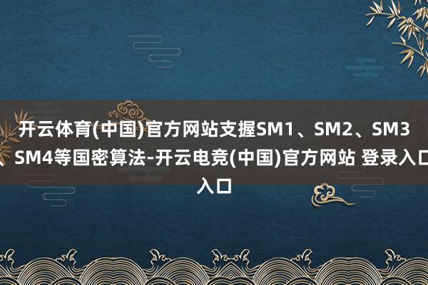 开云体育(中国)官方网站支握SM1、SM2、SM3、SM4等国密算法-开云电竞(中国)官方网站 登录入口